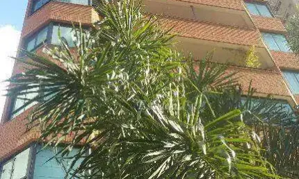 Apartamento à venda, 218 m² por r$ 1.590.000,00 - santana - são paulo/sp