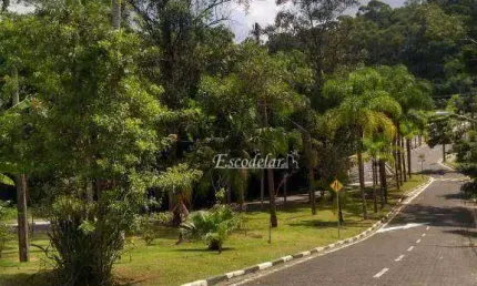 Terreno à venda, 340 m² por r$ 1.100.000,00 - tucuruvi - são paulo/sp