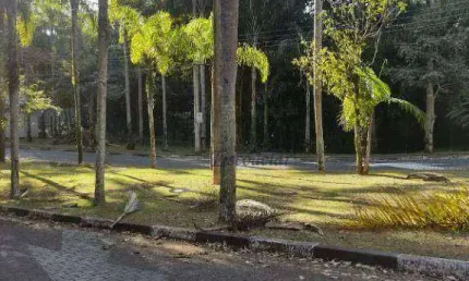 Terreno à venda, 293 m² por r$ 1.000.000,00 - tucuruvi - são paulo/sp