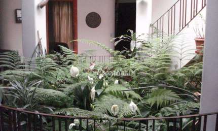 Casa à venda, 450 m² por R$ 5.100.000,00 - Sumaré - São Paulo/SP