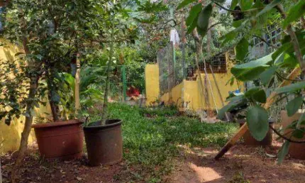 Terreno à venda, 260 m² por r$ 803.000,00 - jardim paraíso - são paulo/sp