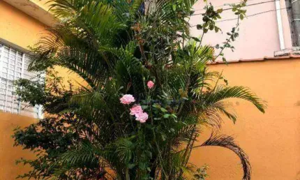 Casa à venda, 150 m² por R$ 550.000,00 - Vila Aurora (Zona Norte) - São Paulo/SP