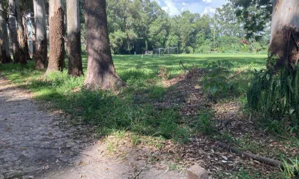 Terreno residencial à venda, casa verde alta, são paulo - te0004.