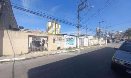 Terreno à venda, 350 m² por r$ 1.497.000,00 - vila palmeiras - são paulo/sp