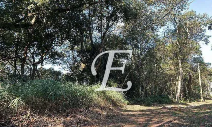 Terreno à venda, 1440 m² por r$ 270.000,00 - caraguatá - mairiporã/sp