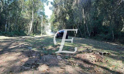 Terreno à venda, 1440 m² por r$ 270.000,00 - caraguatá - mairiporã/sp