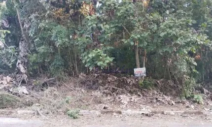 Terreno à venda, 1500 m² por r$ 380.000,00 - sausalito - mairiporã/sp
