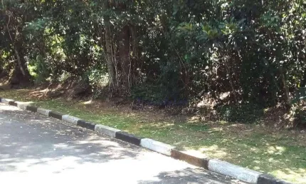 Terreno à venda, 1315 m² por r$ 700.000,00 - roseira - mairiporã/sp