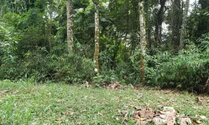 Terreno à venda, 1748 m² por r$ 380.000,00 - roseira - mairiporã/sp