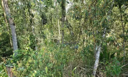 Terreno à venda, 1120 m² por r$ 150.000,00 - roseira - mairiporã/sp
