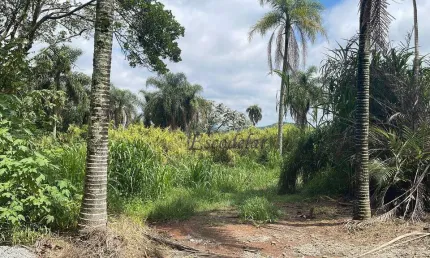 Terreno em condomínio fechado à venda na Alameda dos Guatambus, Roseira, Mairiporã