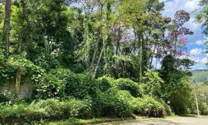 Terreno à venda, 5300 m² por R$ 1.090.000,00 - Roseira - Mairiporã/SP