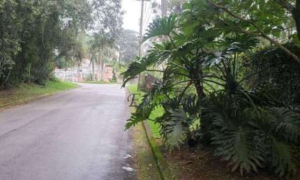 Terreno à venda, 1442 m² por R$ 450.000,00 - Condomínio Alpes da Cantareira - Mairiporã/SP