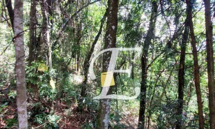 Terreno à venda, 1695 m² por R$ 330.000,00 - Sausalito - Mairiporã/SP