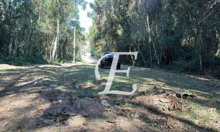 Terreno à venda, 1200 m² por r$ 270.000,00 - caraguatá - mairiporã/sp