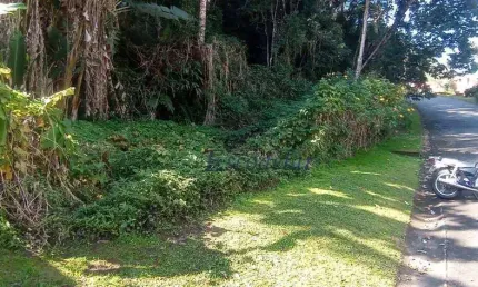 Terreno à venda, 1462 m² por R$ 150.000,00 - Santa Inês - Mairiporã/SP