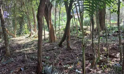 Terreno à venda, 940 m² por R$ 198.000,00 - Roseira - Mairiporã/SP