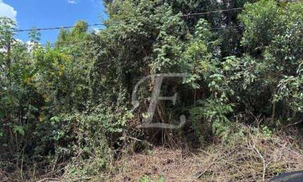 Terreno à venda, 1500 m² por R$ 220.000,00 - Caraguatá - Mairiporã/SP