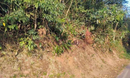 Terreno à venda, 1100 m² por r$ 130.000,00 - roseira - mairiporã/sp