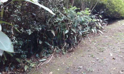 Terreno à venda, 919 m² por r$ 160.000,00 - parque petrópolis - mairiporã/sp