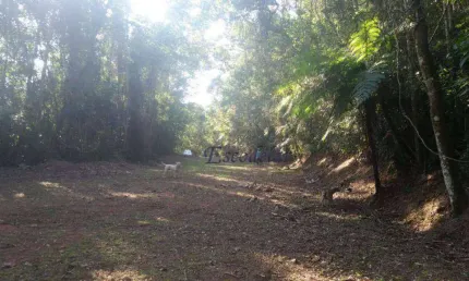 Terreno à venda, 1120 m² por r$ 230.000,00 - serra da cantareira - mairiporã/sp