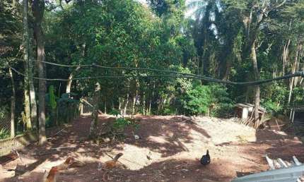Terreno à venda, 1210 m² por R$ 239.000,00 - Roseira - Mairiporã/SP