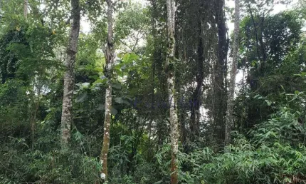 Terreno à venda, 1448 m² por r$ 182.000,00 - sausalito - mairiporã/sp