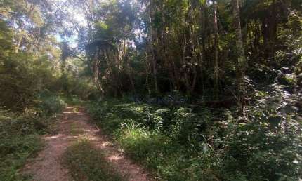 Terreno à venda, 1260 m² por R$ 198.000,00 - Sausalito - Mairiporã/SP