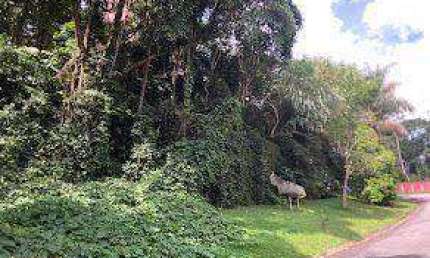 Terreno à venda, 896 m² por R$ 245.000,00 - Parque Petrópolis - Mairiporã/SP