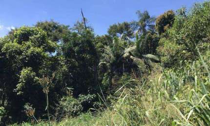 Terreno à venda, 840 m² por R$ 372.000,00 - Parque Petrópolis - Mairiporã/SP