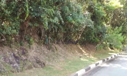 Terreno à venda, 1300 m² por r$ 700.000,00 - roseira - mairiporã/sp