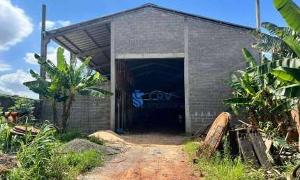 Barracão, 750 m² - venda por R$ 2.900.000,00 ou aluguel por R$ 20.000,00/mês - Bandeirantes - Londrina/PR