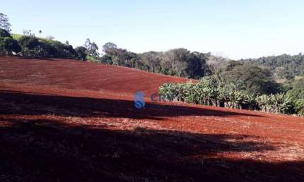 Chácara / sítio à venda na Avenida Siriema, Vila Araponguinha, Arapongas