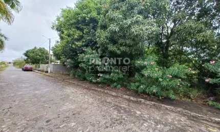 Excelente lote localizado no loteamento chácaras de porto, localizado próximo à porto de galinhas.