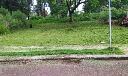 Terreno à venda no Morumbi, Cascavel 