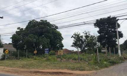 Terreno comercial para alugar na Rua Otávio Schemes, Barnabé, Gravataí