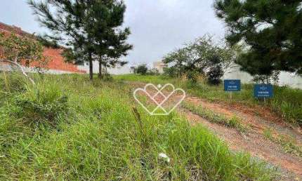 Terreno de 300m² no Bairro Oriço, Gravataí: Oportunidade para Construir o Seu Lar!