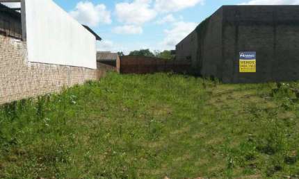 Terreno comercial para alugar na Avenida Los Angeles, Vera Cruz, Gravataí