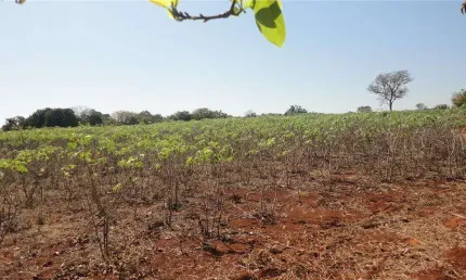 Área à venda, 213800 m² por r$ 50.000.000,00 - betel - paulínia/sp