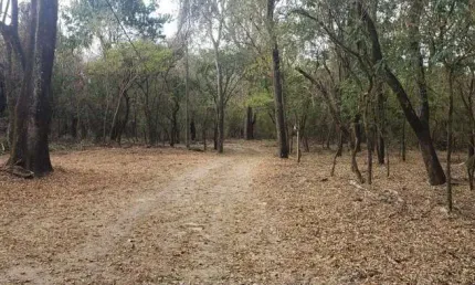 Sítio para Venda em Presidente Bernardes, Santo Antônio, 1 dormitório, 2 banheiros, 6 vagas