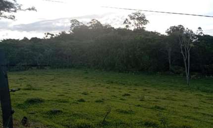 Chácara / sítio à venda na Zona Rural, Regente Feijó 