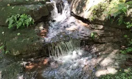 Sítio / Chácara para Venda em Taciba, Corrego Azul, 3 dormitórios, 2 banheiros