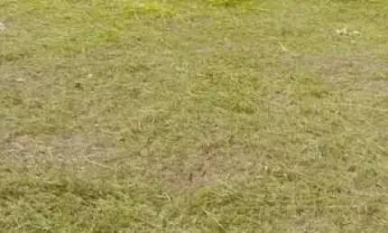 Terreno para Venda em Presidente Prudente, Rotta Do Sol