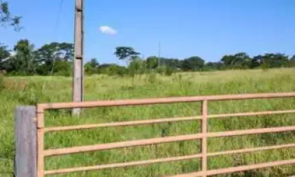 Chácara / sítio à venda na Zona Rural, Álvares Machado 