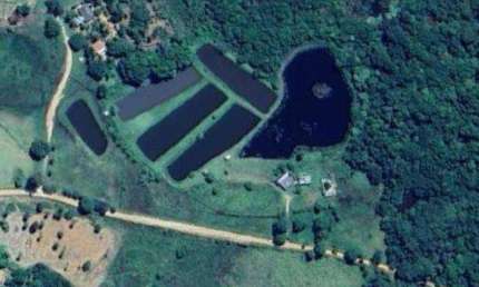 Sítio com 2 dormitórios à venda, 60000 m² por R$ 1.300.000,00 - Zona Rural - Rochedo/MS