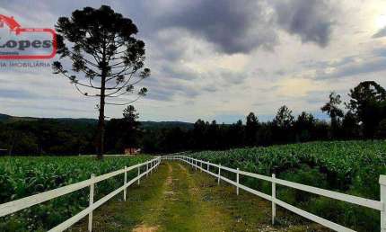 Chácara com 2 dormitórios à venda, 24200 m² por R$ 424.000,00 - Serra do Araçatuba - Tijucas do Sul/PR