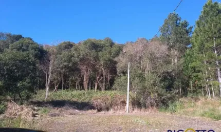 Terreno à venda no jardim eldorado, caxias do sul  por r$ 142.000
