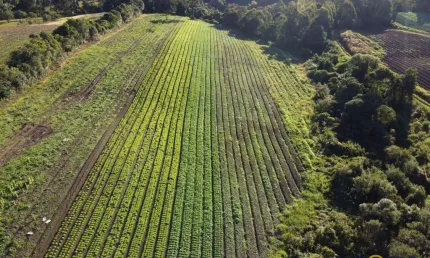 Terreno à venda no São Cristóvão (Distrito), Flores da Cunha  por R$ 450.000