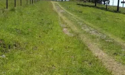 Terreno à venda em criúva, caxias do sul  por r$ 583.000