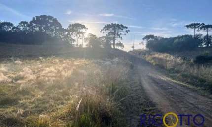 Chácara / sítio à venda na Zona Rural, São Francisco de Paula  por R$ 180.000